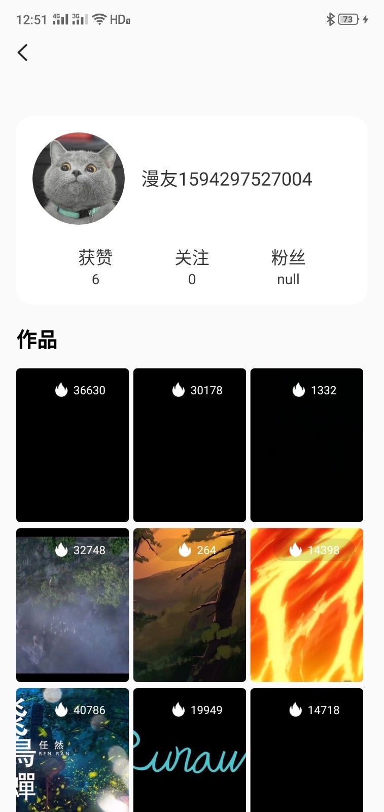 bger视频制作截图2