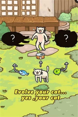 猫的进化世界截图3