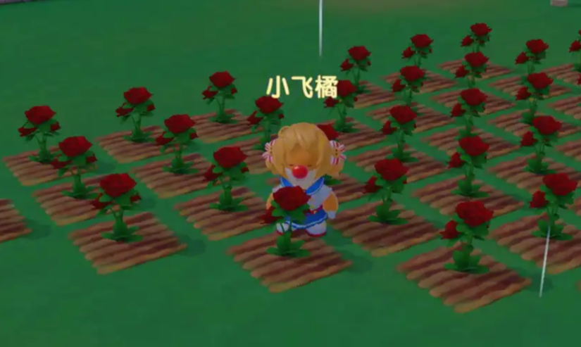 摩尔庄园怎么送玫瑰花