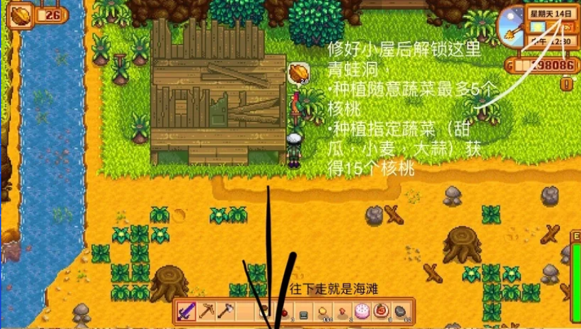 星露谷物语姜岛核桃怎么拿