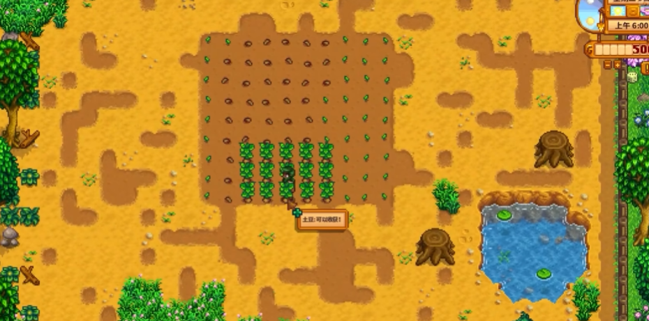 星露谷物语半夜仙女有什么用