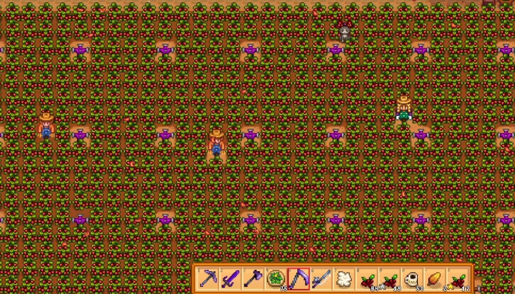 星露谷物语秋天应该干什么