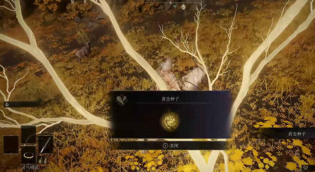艾尔登法环黄金种子怎么获得