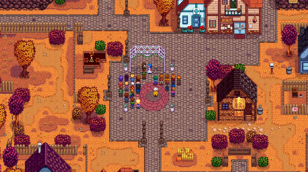 星露谷物语蓝头发妹子在哪