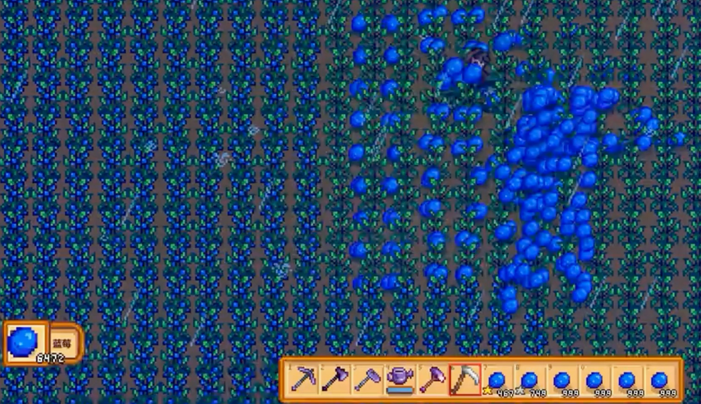 星露谷物语第一年夏天干什么