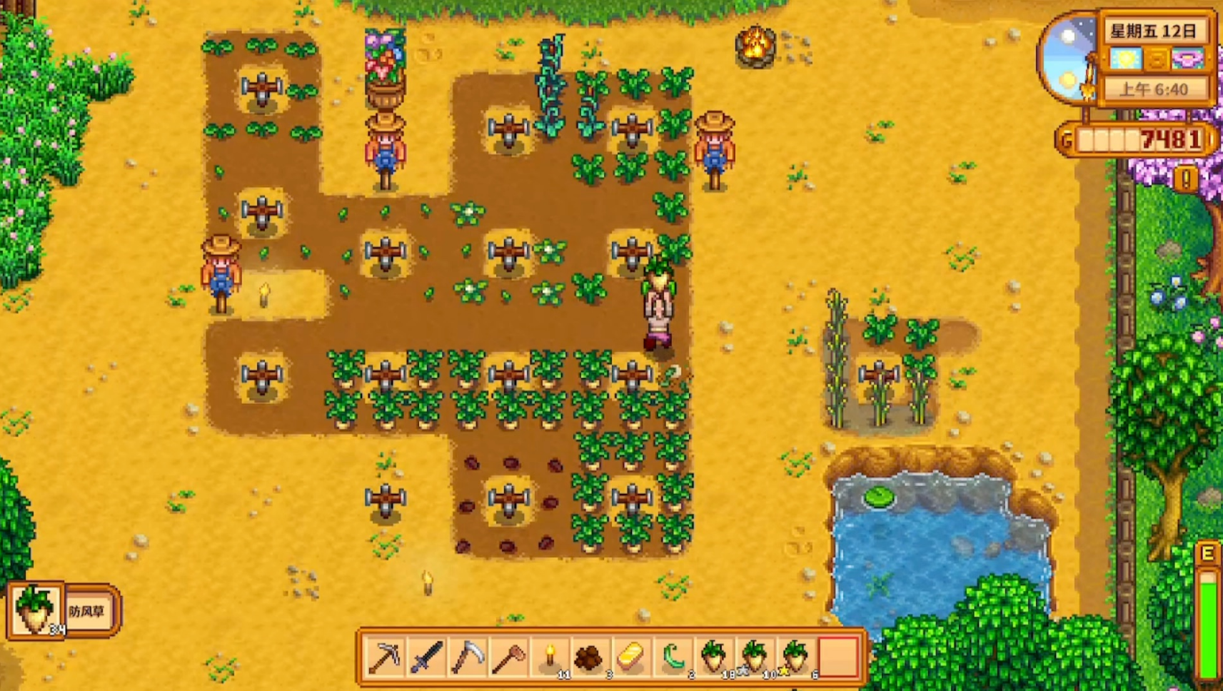 星露谷物语开荒种什么