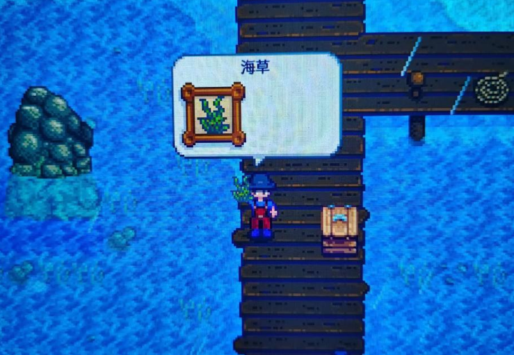 星露谷物语海草哪里买