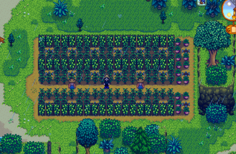 星露谷物语夏天能种什么