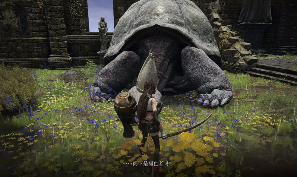 艾尔登法环乌龟在哪