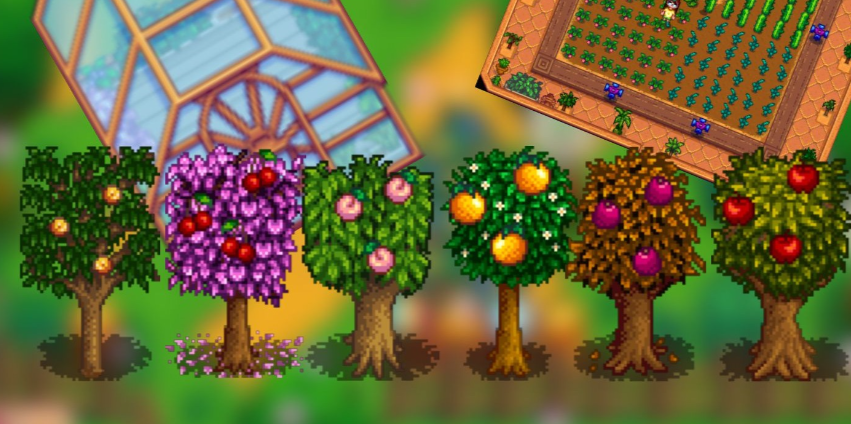 星露谷物语什么树苗好