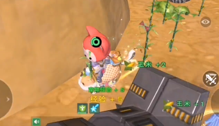 创造与魔法玉米哪里多