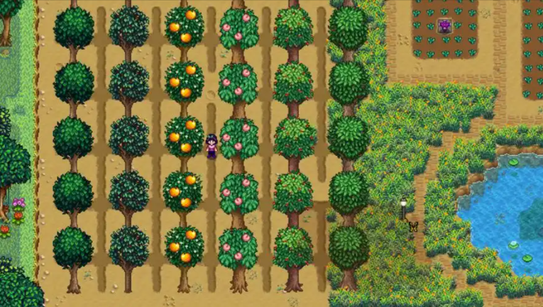 星露谷物语种什么树收益高